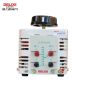 德力西电气（DELIXI ELECTRIC） TDGC2  0.2 K（单相）调压器 TDGCAP2