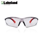 雷克兰（Lakeland）防风镜防紫外线防护眼镜骑车平光透明安全防护眼镜防尘工业护目镜G11001200G1200
