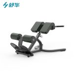 舒华（SHUA）SH-6858 商用健身背部伸展练习器