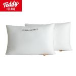 TEDDY ISLANDZX-2304全棉立体枕单只48*74cm