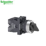 施耐德电气（Schneider Electric） 选择开关XA2ED25两位自锁 短柄 1NO+1NC