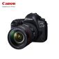 佳能（Canon） 单反相机24-105mmf4L-IS-USMEOS5D-Mark-IV