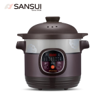 山水（SANSUI） 电炖锅 电炖盅 煲汤炖汤锅 煮粥锅 炖汤盅 紫砂电炖锅电脑款SDZ-B2