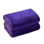 兰诗（LAUTEE） 加厚纤维毛巾定制毛巾吸水巾紫色 35*75cm5条装 DA1078