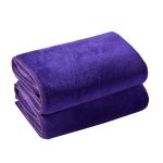 兰诗（LAUTEE） 加厚纤维毛巾定制毛巾吸水巾紫色30*60cm10条装 DA1079