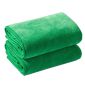 兰诗（LAUTEE） 加厚超细纤维毛巾定制毛巾超强吸水巾绿色30*70cm10条装 FW-2054