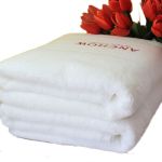 安巢（ANCHOW） 全棉加厚一等品浴巾AW10301