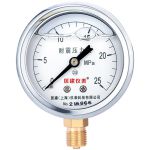 匡建仪表 耐震压力表 YN-60 0-25mpa 银色（个）