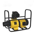 赞马 2寸3寸电机高压泵6寸电机泵不含水管（个）