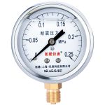 匡建仪表（CONJANT）压力表 YN-60 0-0.25mpa充油型 银色 （个）