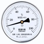 匡建仪表 温度计 wss-401 -40+80℃ L=30CM M27*2活动螺纹 银色（个）