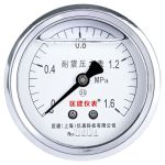 匡建仪表 耐震压力表 YN-60Z 60mm 0-1.6MPa 银（个）