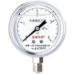 匡建仪表 不锈钢耐震压力表 YN-60BF 0-4mpa 银（个）