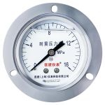 匡建仪表  耐震压力表 YN-60BFZT 0-16MPa 银（个）