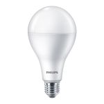 飞利浦（PHILIPS） 经济型LED球泡 19W E27 冷光6500K 1个  适用于房产物业，运营商