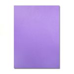 欧标（MATE-IST） 彩色复印纸80克 A4 297*210mm 100张/包浅紫 (25包起订）