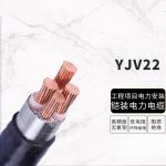 远东电缆 YJV22-5*25 国标铜芯铠装电力电缆 1米 【货期25天50米起订】
