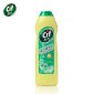 晶杰（CIF）柠檬香强力清洁乳725g 厨房油污清洁剂
