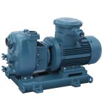 亚太泵阀  水泵机组 其它泵;流量10.6M3/h 扬程20.5米 功率2.2KW 1.5LSE