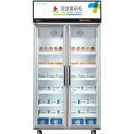 圣托（Shentop） 恒温冰箱展示柜商用 药店诊所药物风冷冷藏柜 立式双门医用物品阴凉柜 STLS-YP2