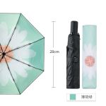 天堂伞   三折超轻折叠黑胶遮阳伞  绿色（芳华黑胶伞下直径97CM*）