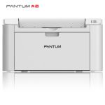 奔图（PANTUM ） P2507N黑白激光打印机（A4打印 USB打印）便捷打印 高速打印 共享打印
