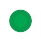 琦域 压力表防水防潮标签 绿色整圆弧 50MM（贴）