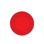 琦域 压力表防水防潮标签 红色整圆弧 50MM（贴）