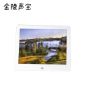 金陵声宝 ROSE-DZXK-11电子相册智能数码相框高清显示器10英寸时尚银
