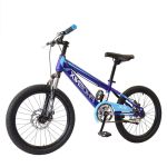 凤凰（Phoenix） 20寸高碳钢机械双碟刹学生自行车TT-20 蓝色