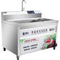 圣托（Shentop） 餐厅厨房洗菜机商用 蔬菜水果海鲜臭氧清洁机 全自动果蔬涡流清洗机 STAQ-CE12