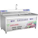 圣托（Shentop） 全自动气泡洗菜机商用 大容量果蔬臭氧洗涤机 蔬菜水果双缸涡流清洗机 STAQ-CS20