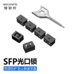 维智控（WECONFIG） 7-13 SFP光口安全锁数据防盗可拆卸黑色10个+1把钥匙