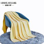 路易卡罗（Louis Kellog） 玉米毯亲肤空调毯婴儿毯150*200cmLK4312